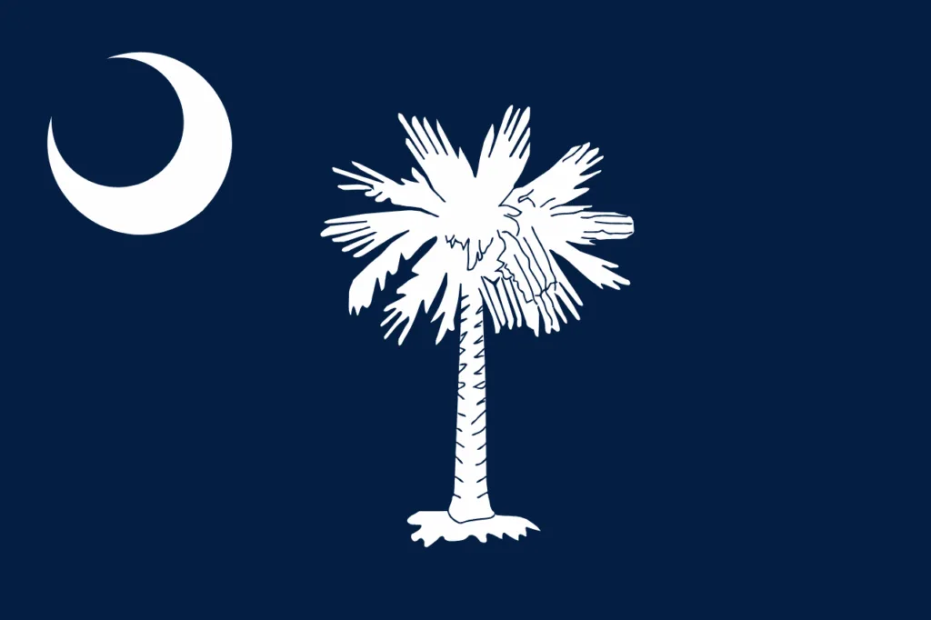Official flag of South Carolina