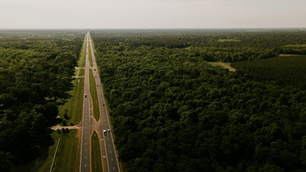 A two-lane road running through tall roadside trees