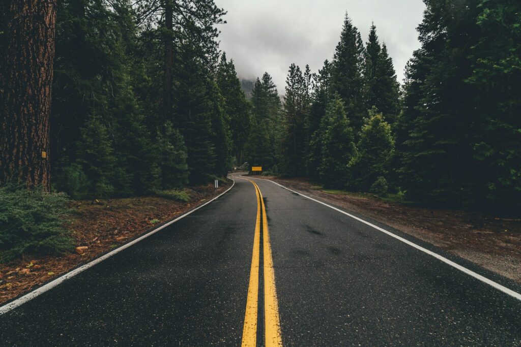 Empty two-lane asphalt road curving toward a line of green trees