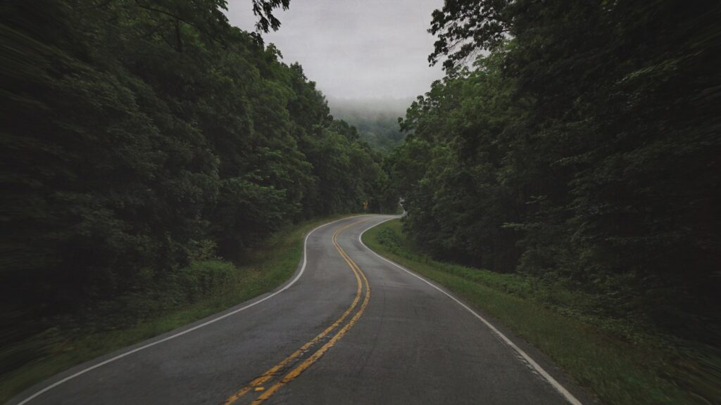 A two-lane road curving between green trees under an overcast sky