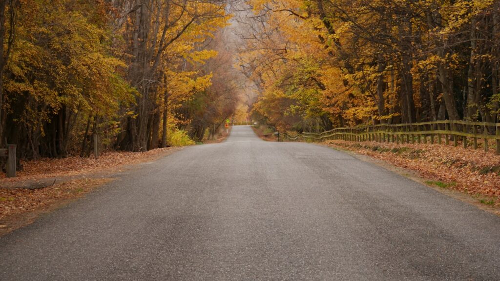 Empty paved rural road lined with green trees under daylight in Michigan