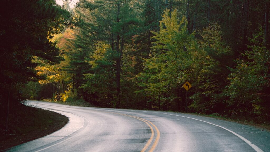 Two-lane road running between green trees on a clear day