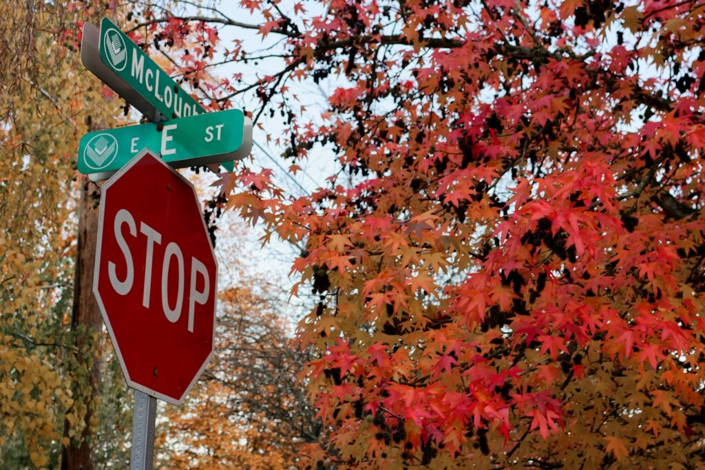 Stop sign below green US street name signs