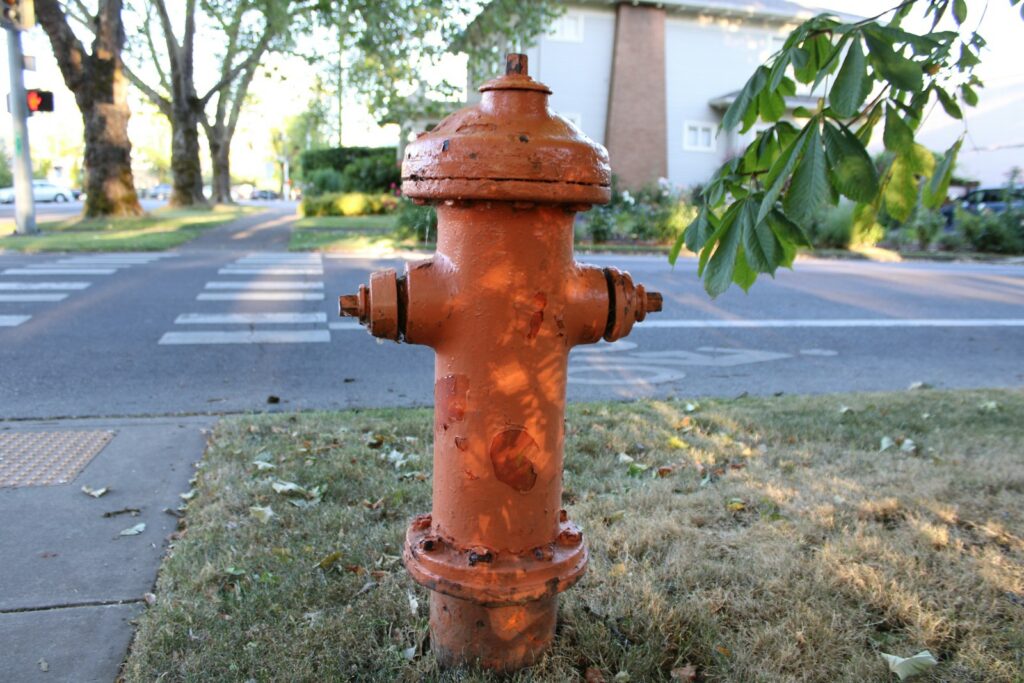An orange fire hydrant on a grass strip next to a sidewalk, with a marked crosswalk and pedestrian signal behind it